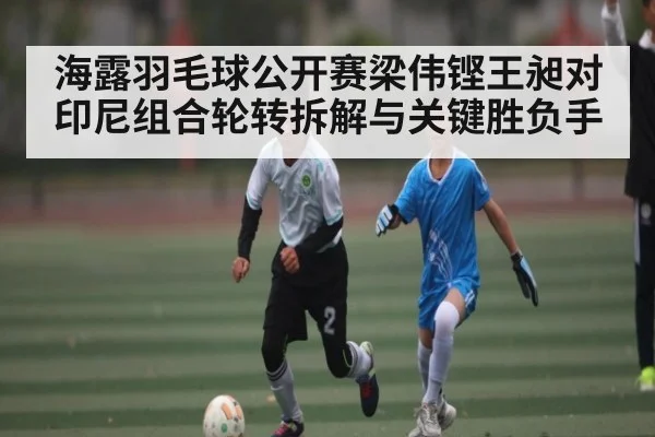 海露羽毛球公开赛梁伟铿王昶对印尼组合轮转拆解与关键胜负手